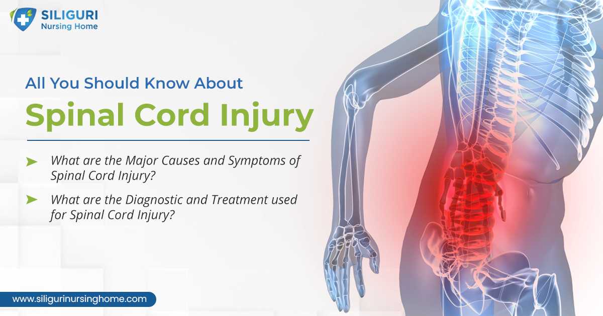All You Should Know About Spinal Cord Injury